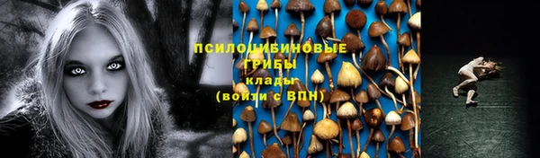 гидра Алексин