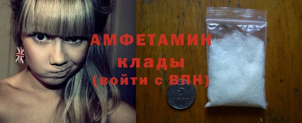 гидра Алексин