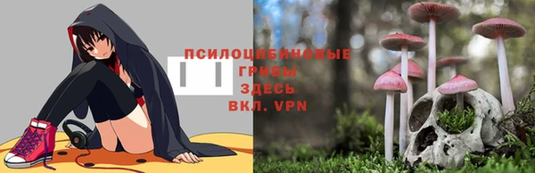 герыч Алзамай