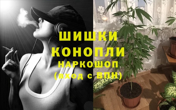 индика Нягань