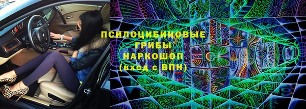 гидра Алексин